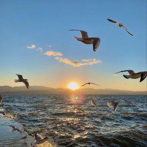 山东妇女精品BBWBBW
