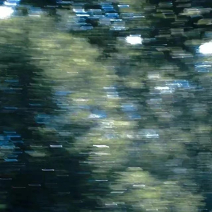 山东妇女精品BBWBBW
