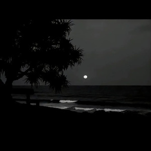 山东妇女精品BBWBBW
