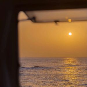 山东妇女精品BBWBBW
